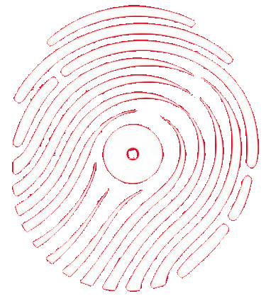 Apex Systems